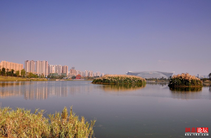 锦城湖02