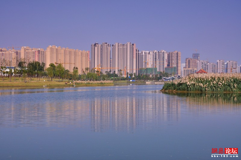 锦城湖06